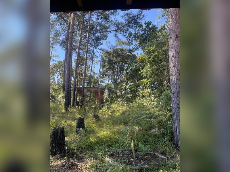 imóvel com 83m² - Área Rural de Paraibuna - Paraibuna