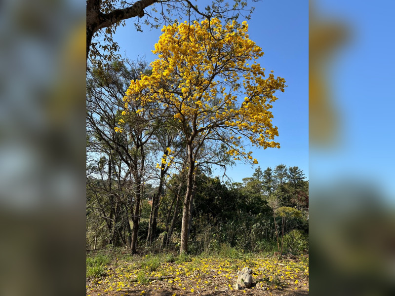imóvel com 1000m² - Recanto Campestre Viracopos Gleba 2 - Indaiatuba