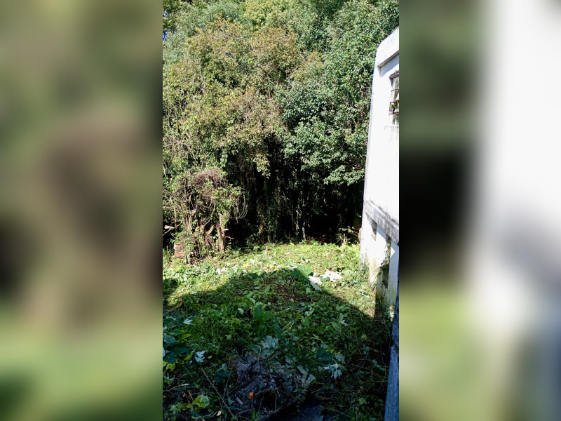imóvel com 725m² - Barreirinha - Curitiba