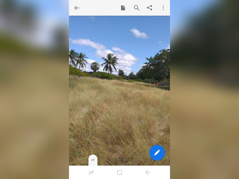 imóvel com 45000m² - Alto da Cheia - Aracati