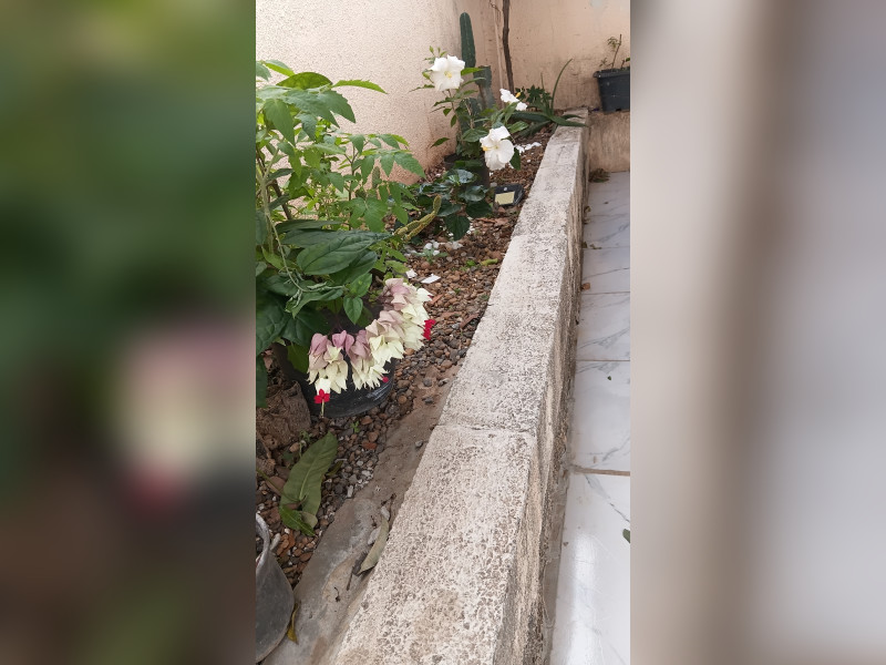 imóvel com 125m² - Centro - Tupi Paulista