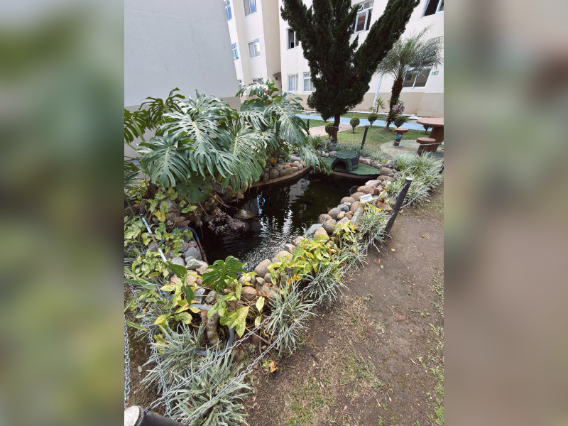 imóvel com 70m² - Sítio Cercado - Curitiba