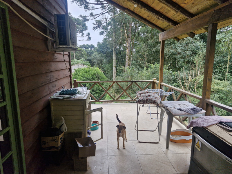 imóvel com 540m² - Borda do Campo - Quatro Barras