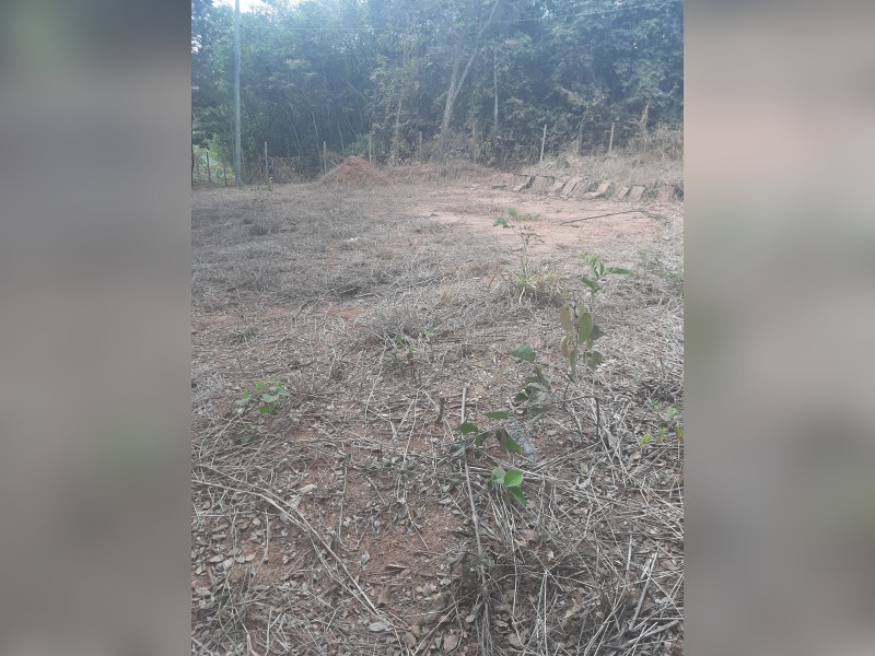 imóvel com 946m² - Centro - Pará de Minas