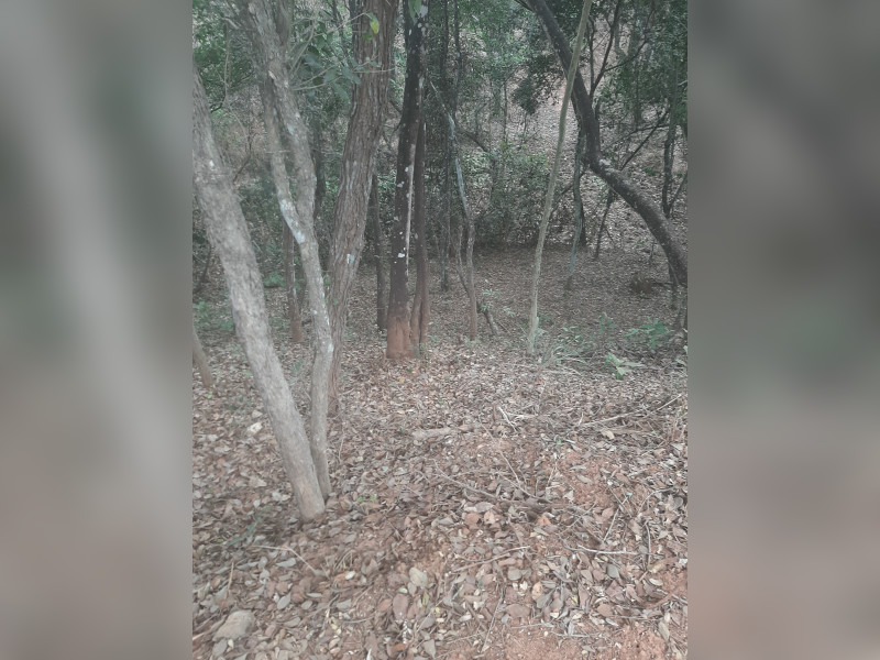 imóvel com 946m² - Centro - Pará de Minas