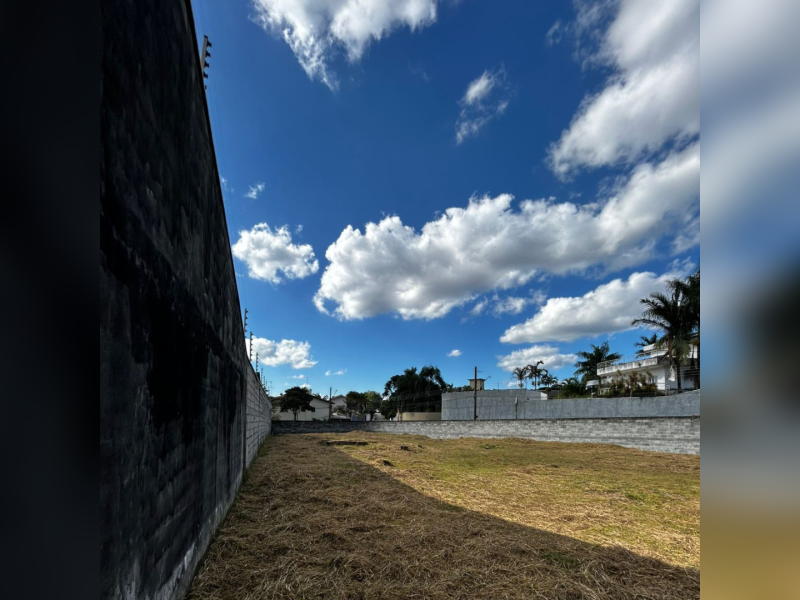 imóvel com 1000m² - Vila Oliveira - Mogi das Cruzes