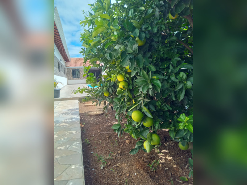 imóvel com 485m² - Lagoa das Flores - Vitória da Conquista
