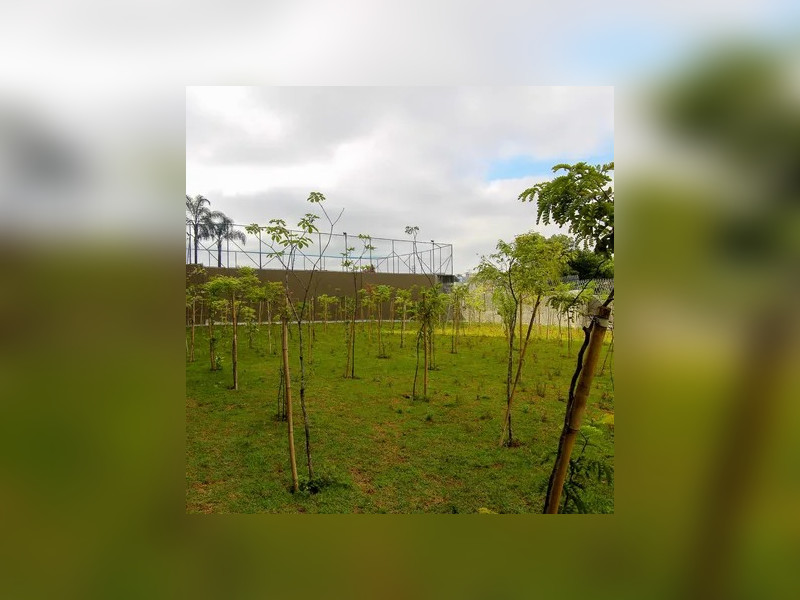 imóvel com 46m² - Vila Formosa - São Paulo