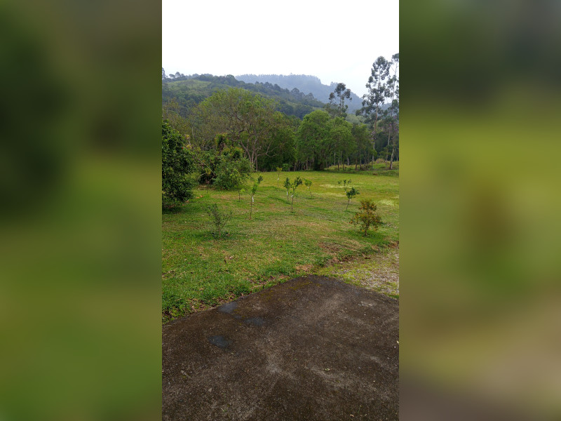 imóvel com 60000m² - Centro - Imarui