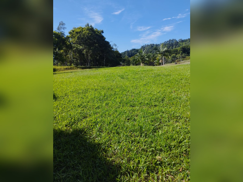 imóvel com 60000m² - Centro - Imarui