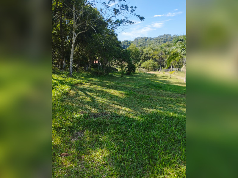 imóvel com 60000m² - Centro - Imarui