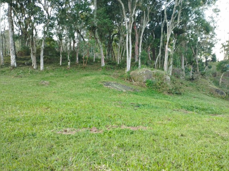 imóvel com 60000m² - Centro - Imarui
