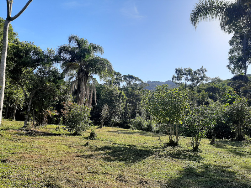 imóvel com 60000m² - Centro - Imarui