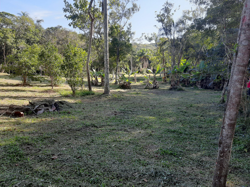 imóvel com 60000m² - Centro - Imarui