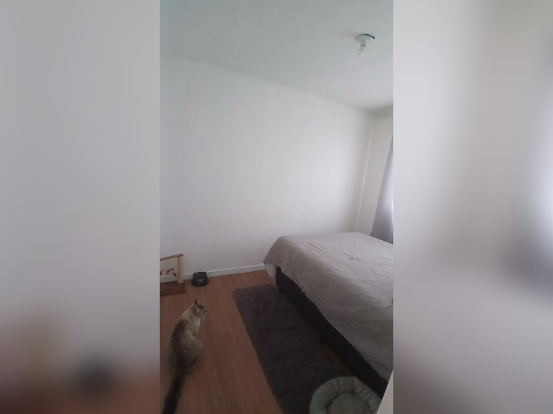 imóvel com 41m² - Chácara Maria Trindade - São Paulo