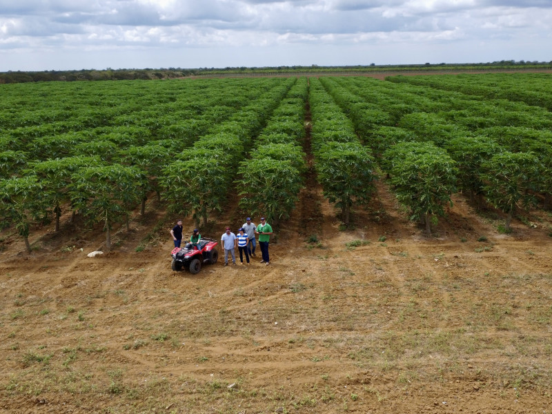 imóvel com 1660000m² - Centro - Barauna