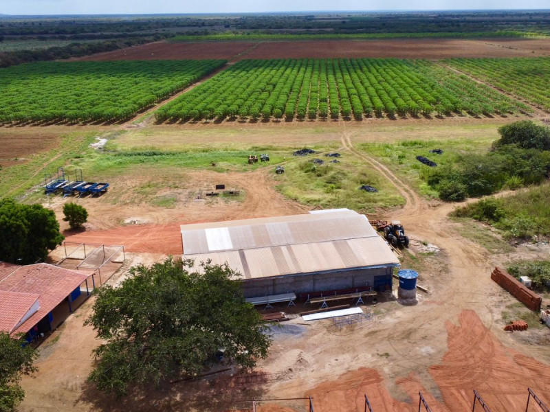imóvel com 1660000m² - Centro - Barauna