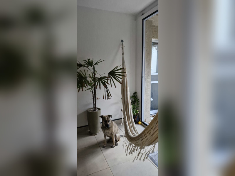 imóvel com 75m² - Camaquã - Porto Alegre