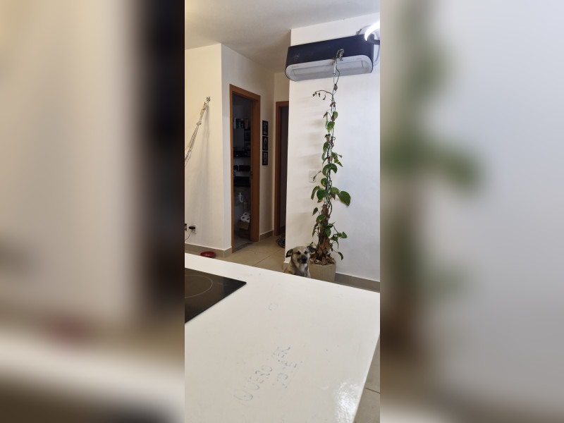 imóvel com 75m² - Camaquã - Porto Alegre
