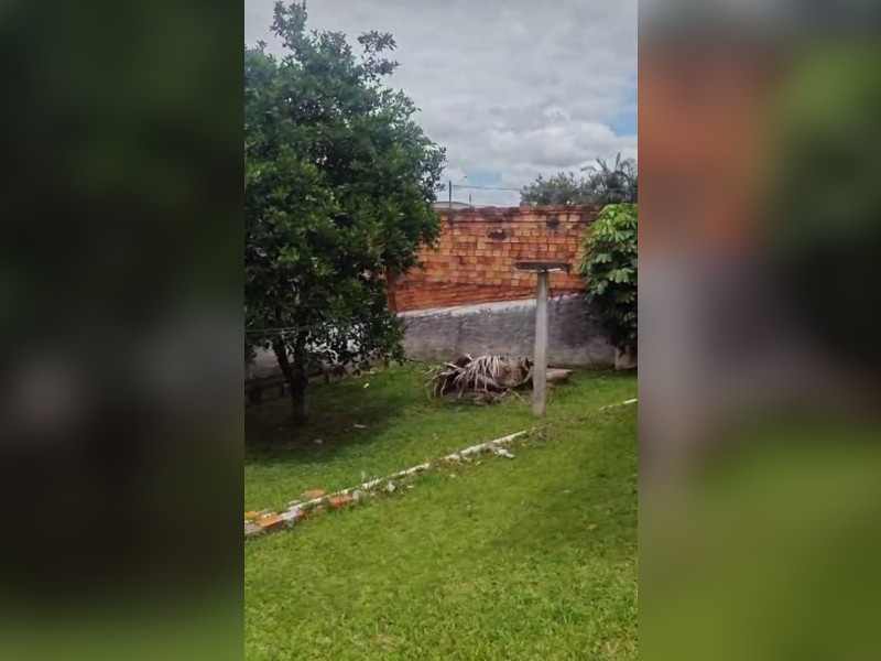 imóvel com 390m² - Jardim Montevidéu - Criciúma