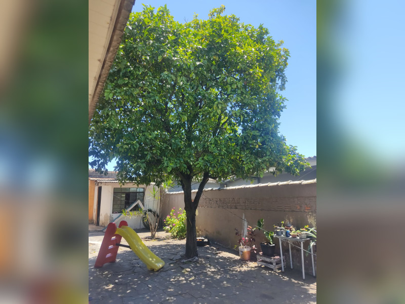 imóvel com 360m² - centro - Gravatai