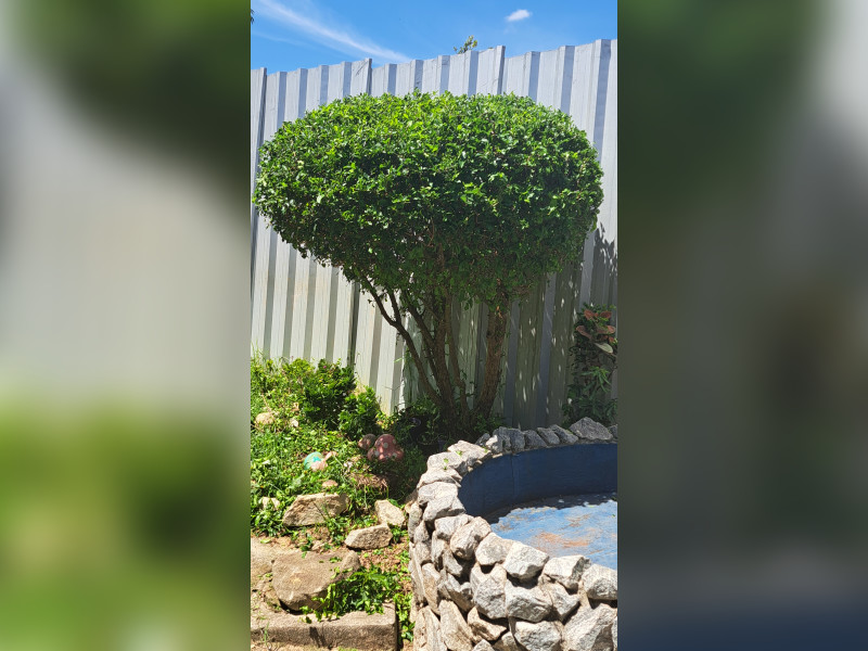 imóvel com 1480m² - Bodocó - Betim