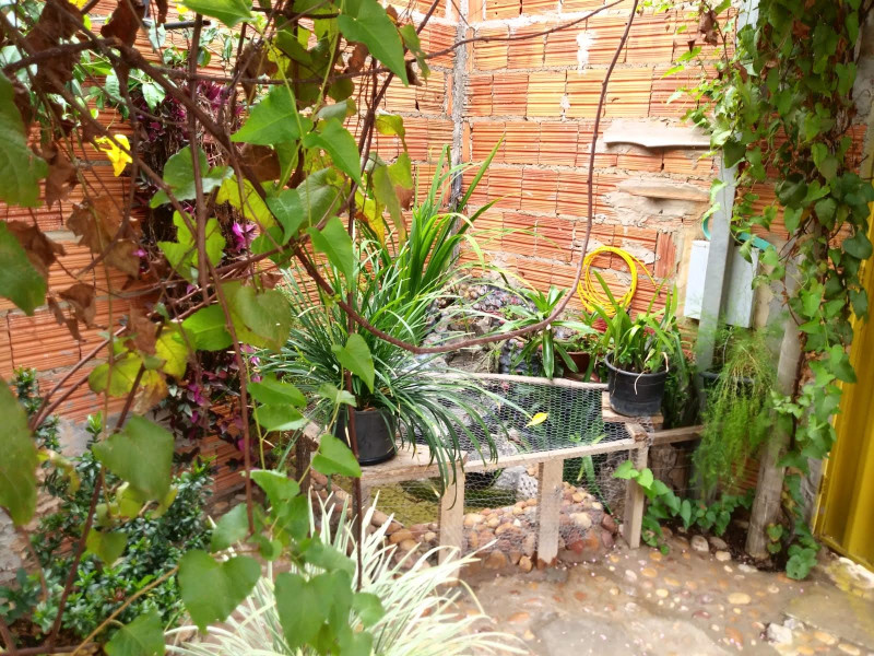imóvel com 180m² - Centro - Pedras de Maria da Cruz