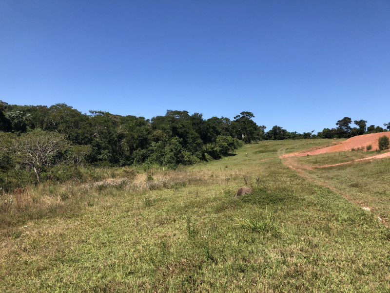 imóvel com 20000m² - Centro - Jacareí