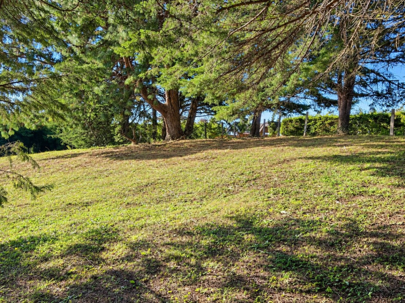 imóvel com 1166m² - Vl. Inglesa - Campos do Jordão