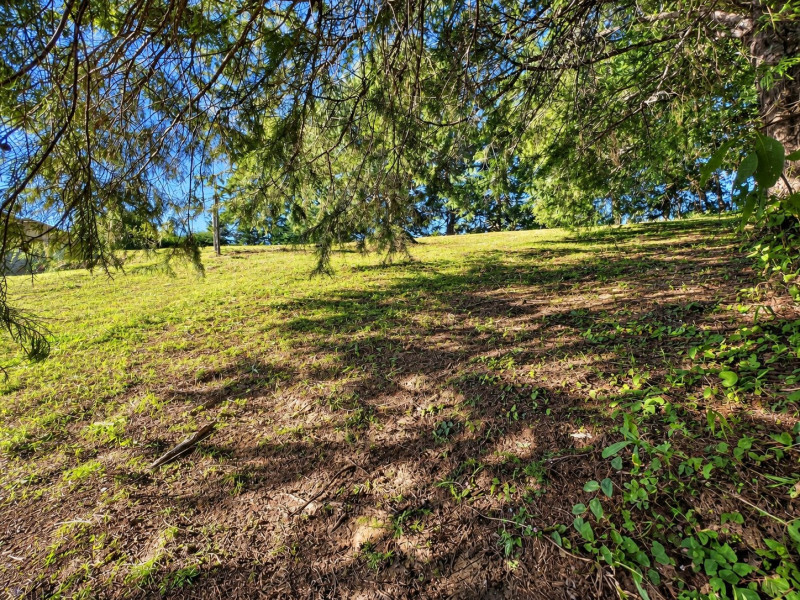 imóvel com 1166m² - Vl. Inglesa - Campos do Jordão
