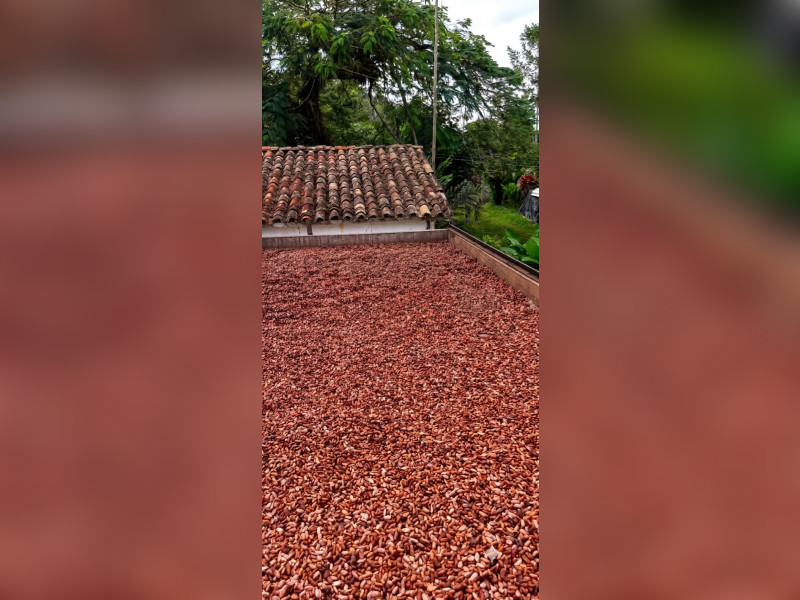 imóvel com 342m² - Centro - Una