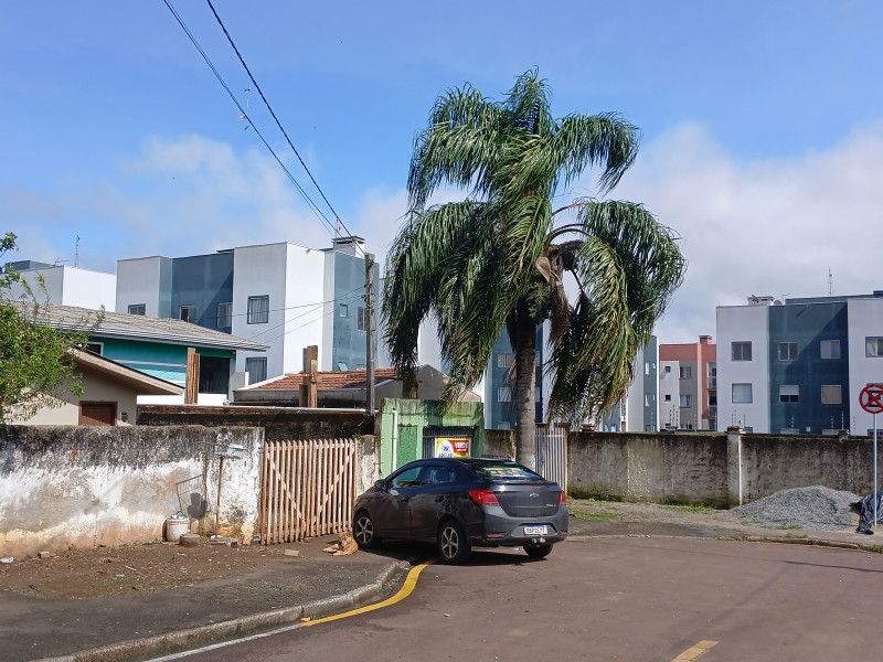 imóvel com 623m² - capela velha - Araucaria
