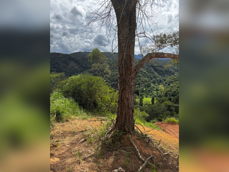 imóvel com 425m² - Granja Mafra - Teresópolis