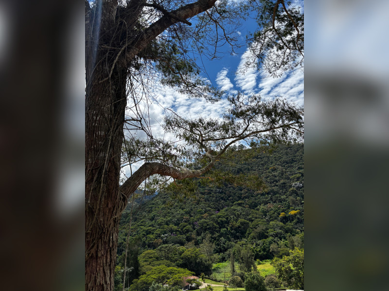 imóvel com 425m² - Granja Mafra - Teresópolis