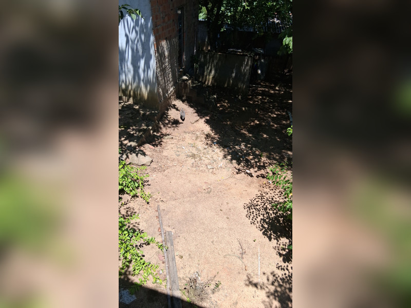 imóvel com 7050m² - Pitinga - Porto Alegre