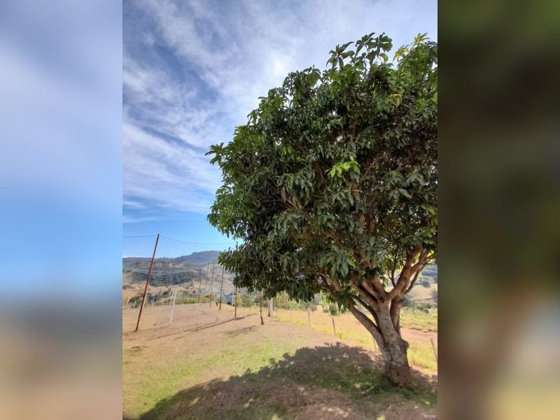 imóvel com 250m² - Centro - Extrema