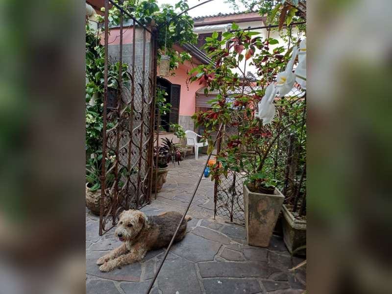 imóvel com 200m² - Jardim Botânico - Porto Alegre