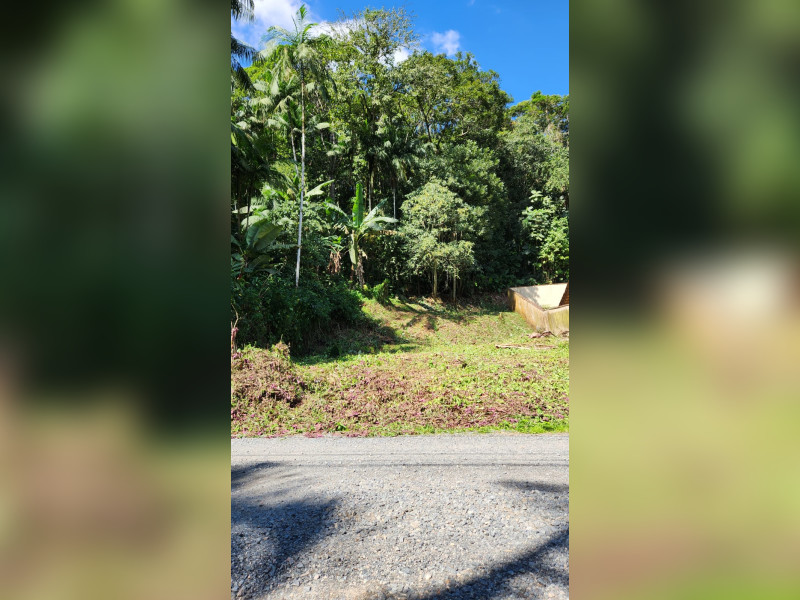 imóvel com 360m² - Glória - Joinville