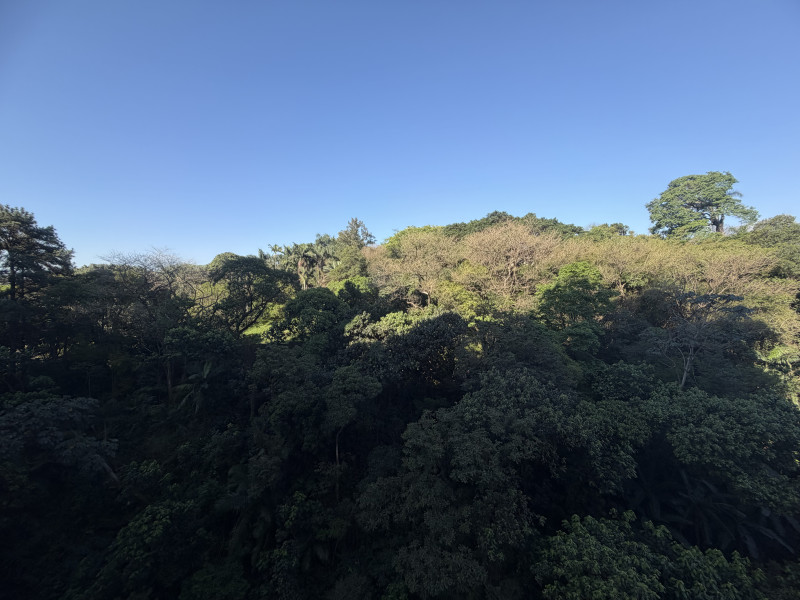 imóvel com 39m² - Pirituba - São Paulo