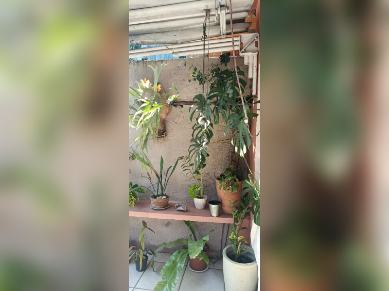 imóvel com 100m² - Centro - Carapicuiba
