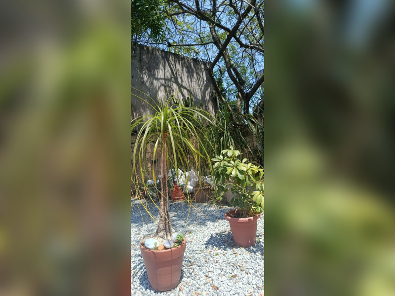 imóvel com 100m² - Centro - Carapicuiba