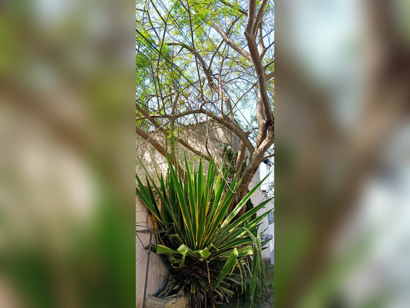 imóvel com 100m² - Centro - Carapicuiba