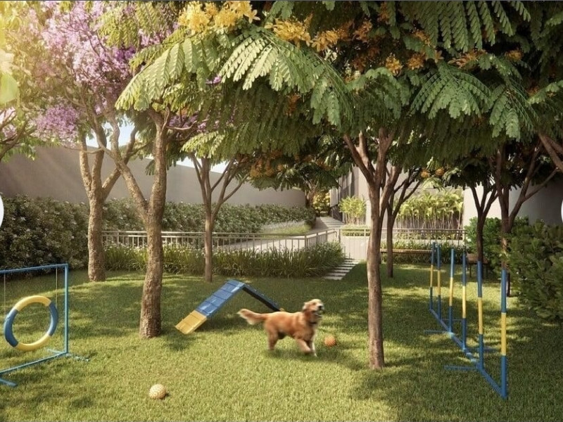 imóvel com 65m² - Butantã - São Paulo