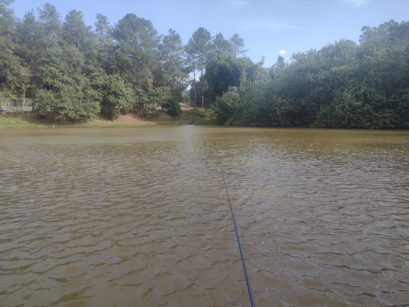 imóvel com 200m² - Água Azul - Guarulhos