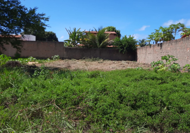 imóvel com 364m²