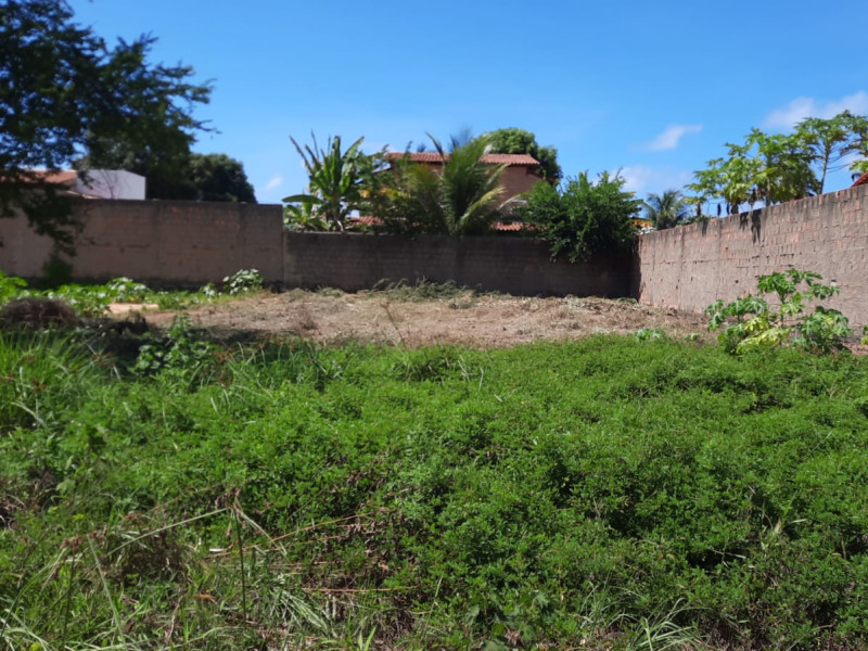 imóvel com 364m² - Centro - Maragogi