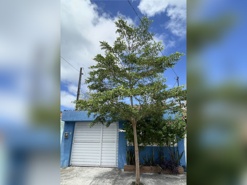 imóvel com 103m² - Santo Amaro - Recife