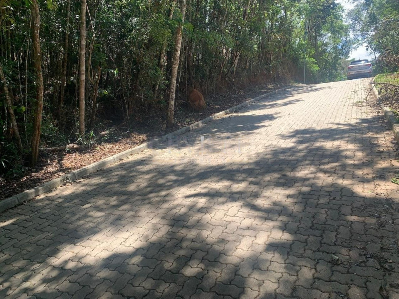 imóvel com 1000m² - Pasargada - Nova Lima