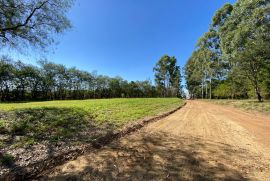 Terreno &agrave; venda Condom&iacute;nio Ninho Verde com 1240m&sup2; e 0 quartos por R$ 90.000 - whatsapp-image-2026-10-01-at-151309-1.jpeg