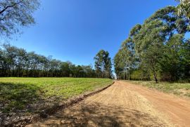 Terreno &agrave; venda Condom&iacute;nio Ninho Verde com 1240m&sup2; e 0 quartos por R$ 90.000 - whatsapp-image-2026-10-01-at-151309.jpeg